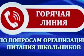 График работы горячих линий по предоставлению питания